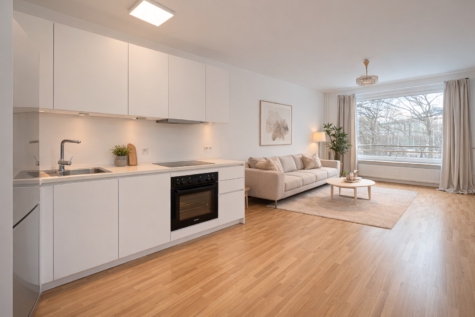 Küche und Wohnbereich (KI Möbliert)